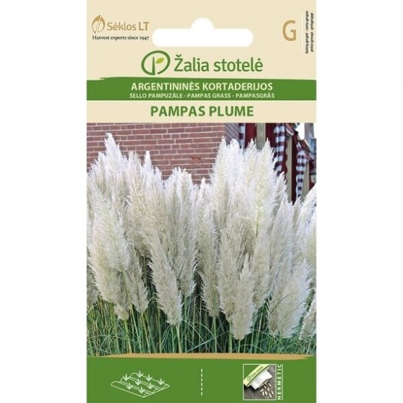 Argentininės kortaderijos PAMPAS PLUME, 2g Argentininės kortaderijos PAMPAS PLUME, 2g