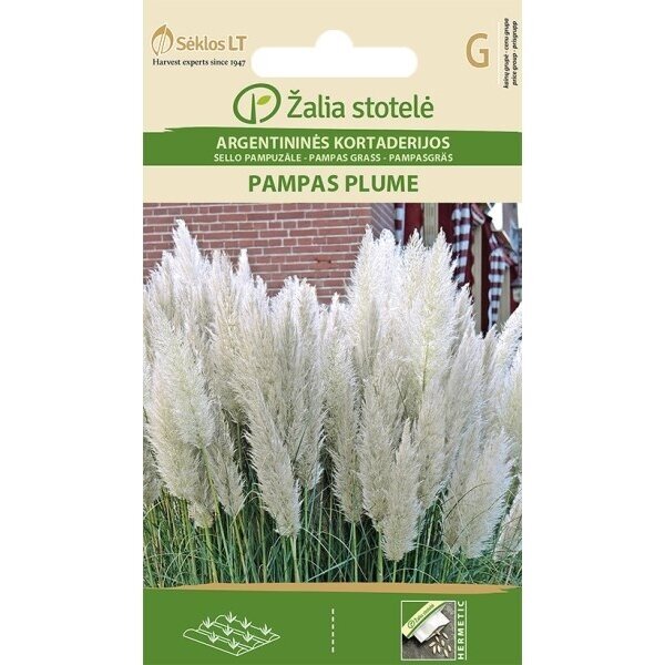 Argentininės kortaderijos PAMPAS PLUME, 2g