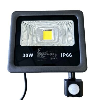 LED prožektorius COB su judėsio davikliu, 30W LED prožektorius COB su judėsio davikliu, 30W