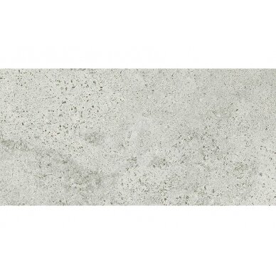 Akmens masės plytelės Newstone Light Grey, 59,8x119,8 cm