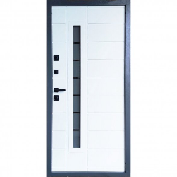 Lauko durys MAGDA T15-148 D86, 860x2050mm pilka sp. 1 Lauko durys MAGDA T15-148 D86, 860x2050mm pilka sp. 1