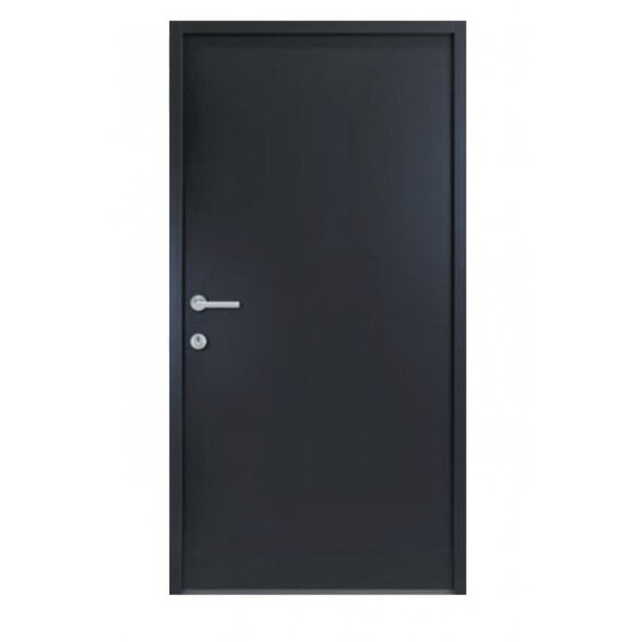 Lauko durys NBT56 kairinės, 880x2080mm antracito sp. Lauko durys NBT56 kairinės, 880x2080mm antracito sp.
