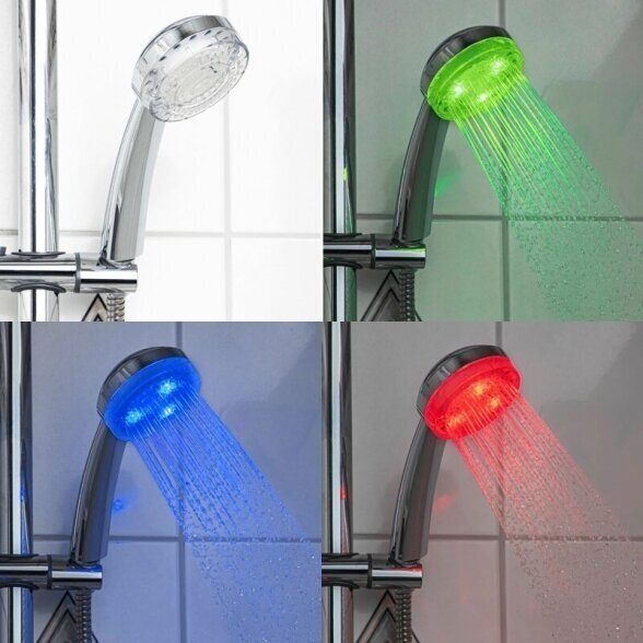 LED dušo galvutė 1