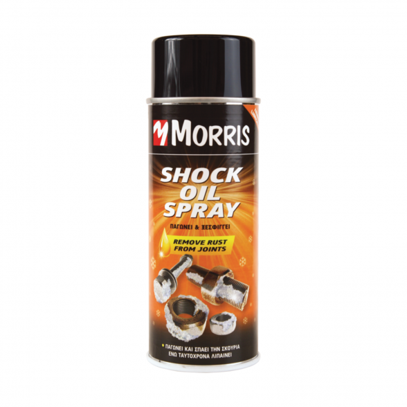 Ledo tirpinimo purškalas MORRIS 28586, 400ml Ledo tirpinimo purškalas MORRIS 28586, 400ml