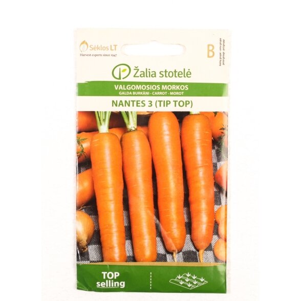 Paprastosios morkos NANTES 3 TIP TOP VL, 3g Paprastosios morkos NANTES 3 TIP TOP VL, 3g