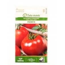 Pomidorai PROMYK VL