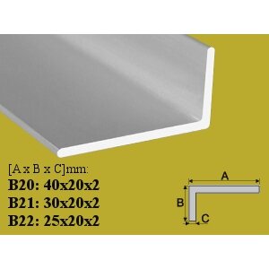 Profilis Effector, kampinis, B20, 100 cm