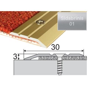 Profilis su nuolydžiu A01 sidabrinis, 180cm 30x3mm Profilis su nuolydžiu A01 sidabrinis, 180cm 30x3mm