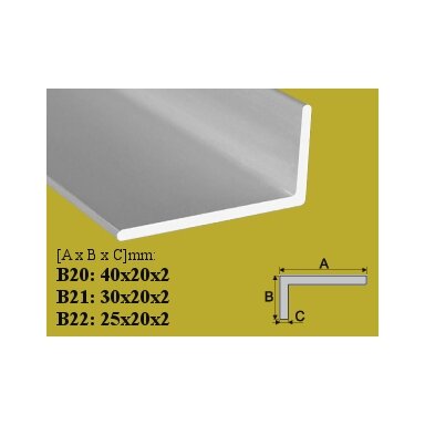 Profilis Effector, kampinis, B20, 100 cm