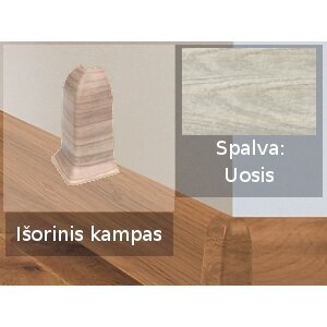 Grindjuostės išorinis kampas PVC Izzi, uosio sp. (161/761) 1 Grindjuostės išorinis kampas PVC Izzi, uosio sp. (161/761) 1