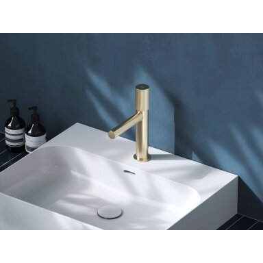 RV 012.60CH Praustuvo maišytuvas 220 mm be dugno vožtuvo, spalva champagne RV 012.60CH Praustuvo maišytuvas 220 mm be dugno vožtuvo, spalva champagne