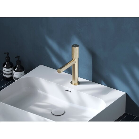 RV 012.60CH Praustuvo maišytuvas 220 mm be dugno vožtuvo, spalva champagne RV 012.60CH Praustuvo maišytuvas 220 mm be dugno vožtuvo, spalva champagne