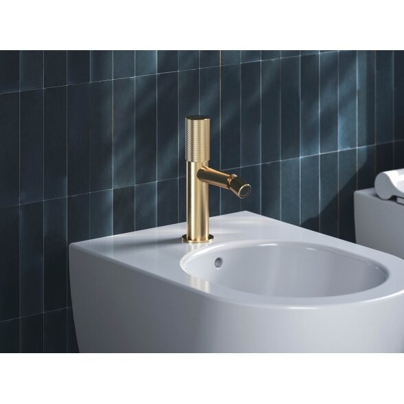 RV 056.60CH Bidė maišytuvas 190 mm be dugno vožtuvo, spalva champagne