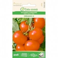 Pomidorai ORKADO H